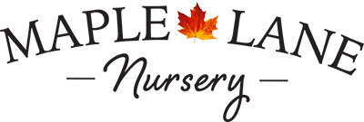 Maple Lane Nursery