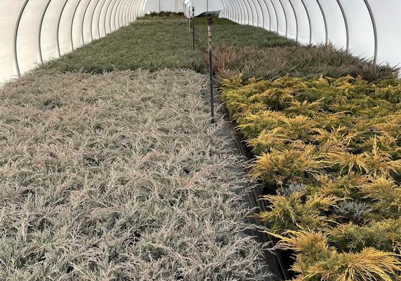 8.5 - Greenhouse