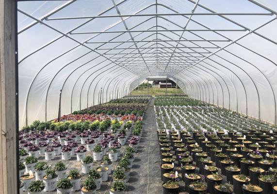 9 - Greenhouse Pots