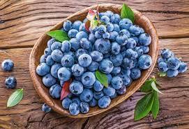 Vaccinium angustifolium Blueray