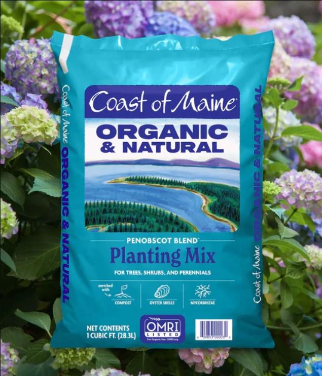 Coast of Maine Penobscot 