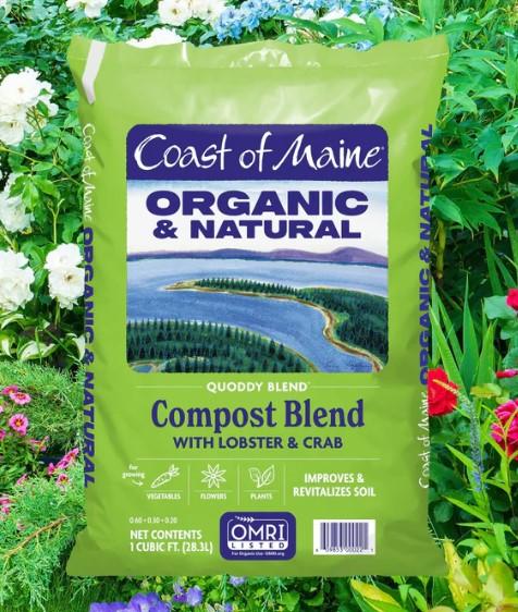 Coast of Maine Quoddy - Lobste 