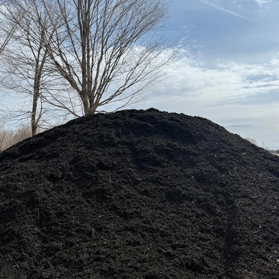 Mulch - Color Enhanced Black 