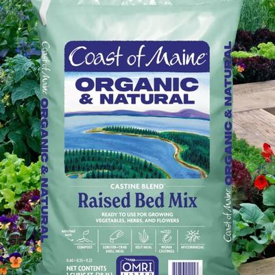 Coast of Maine Castline Raised 