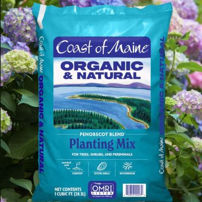 Coast of Maine Penobscot 