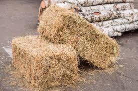 Straw Bale 