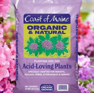 Bag Product - 