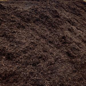 Organic Compost