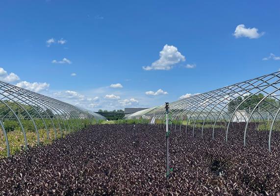 Containers in-between 2 GH