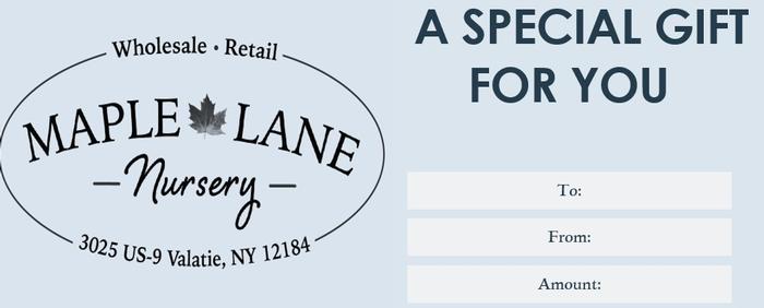 Order a Gift Certificate