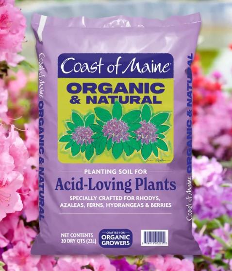 Bag Product -